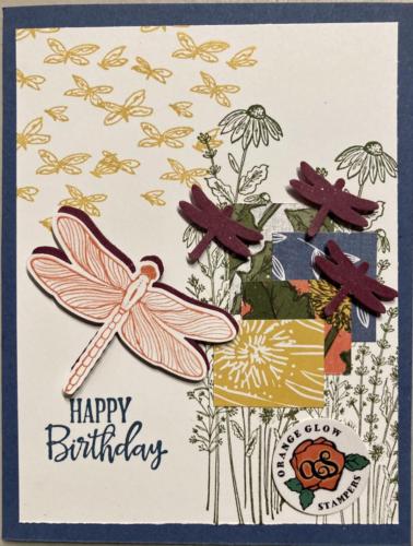 Fun card with dsp and punched dragonflies