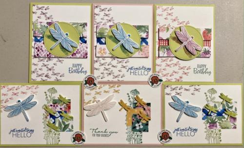 Medley of fun dragonfly cards.  